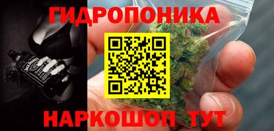гашик Конаково