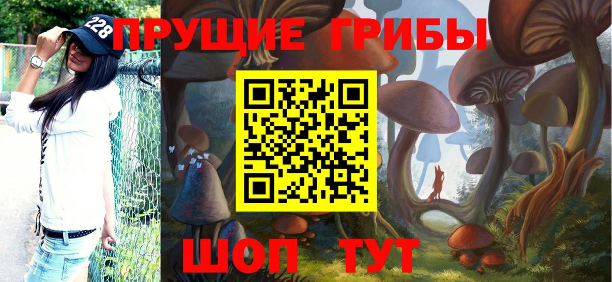 Галлюциногенные грибы Psilocybine cubensis  Вход с VPN  Псилоцибиновые грибы GOLDEN TEACHER  Алапаевск 