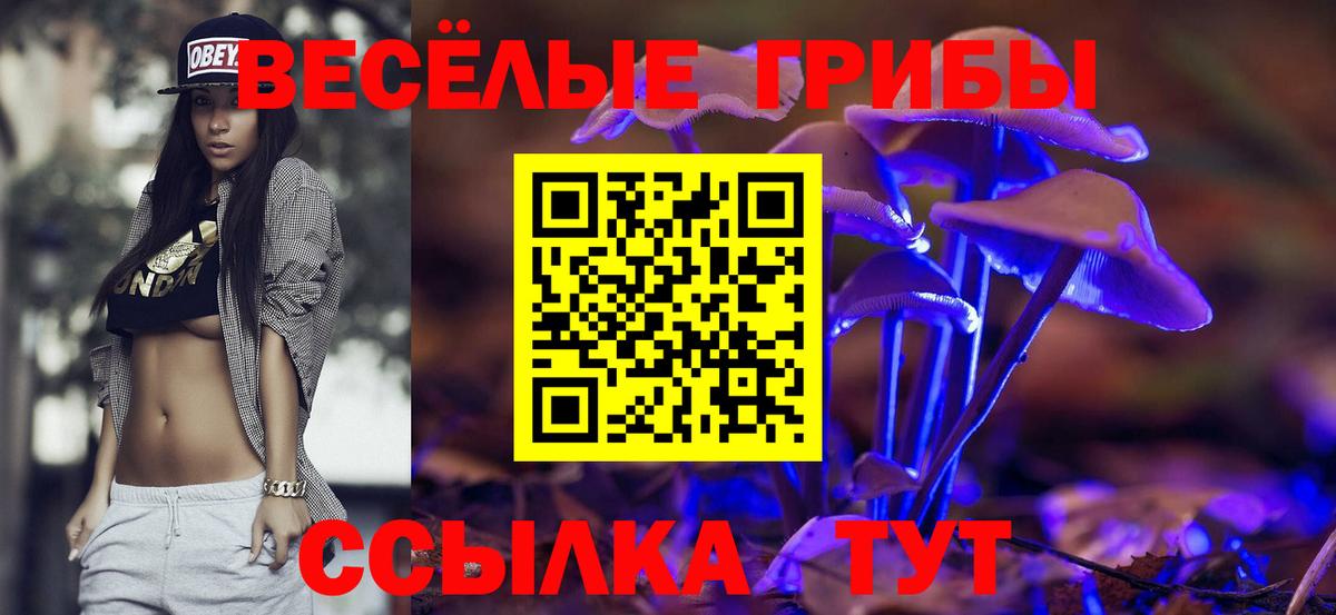 Галлюциногенные грибы GOLDEN TEACHER Алапаевск